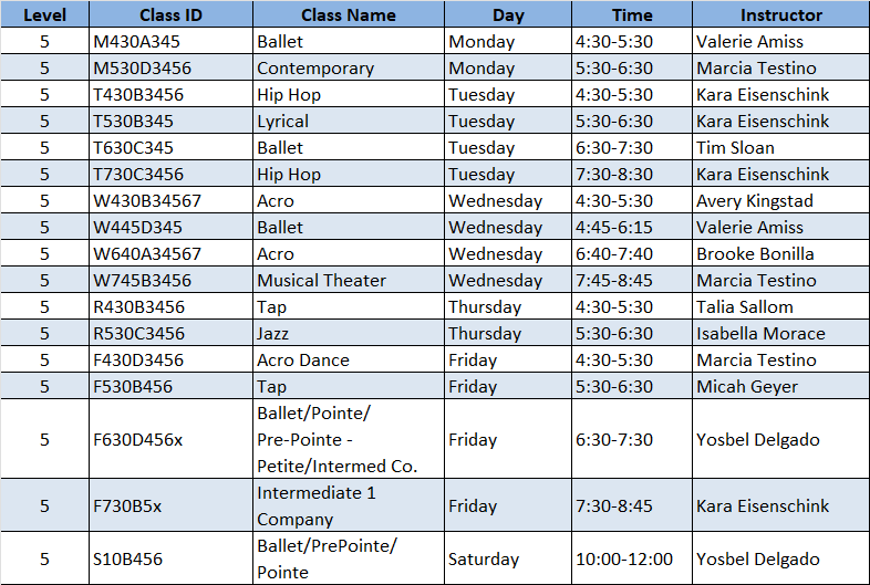Level 5 Schedule