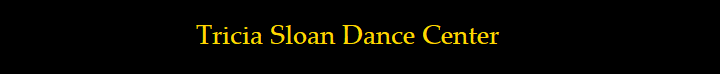 TSDC Banner logo
